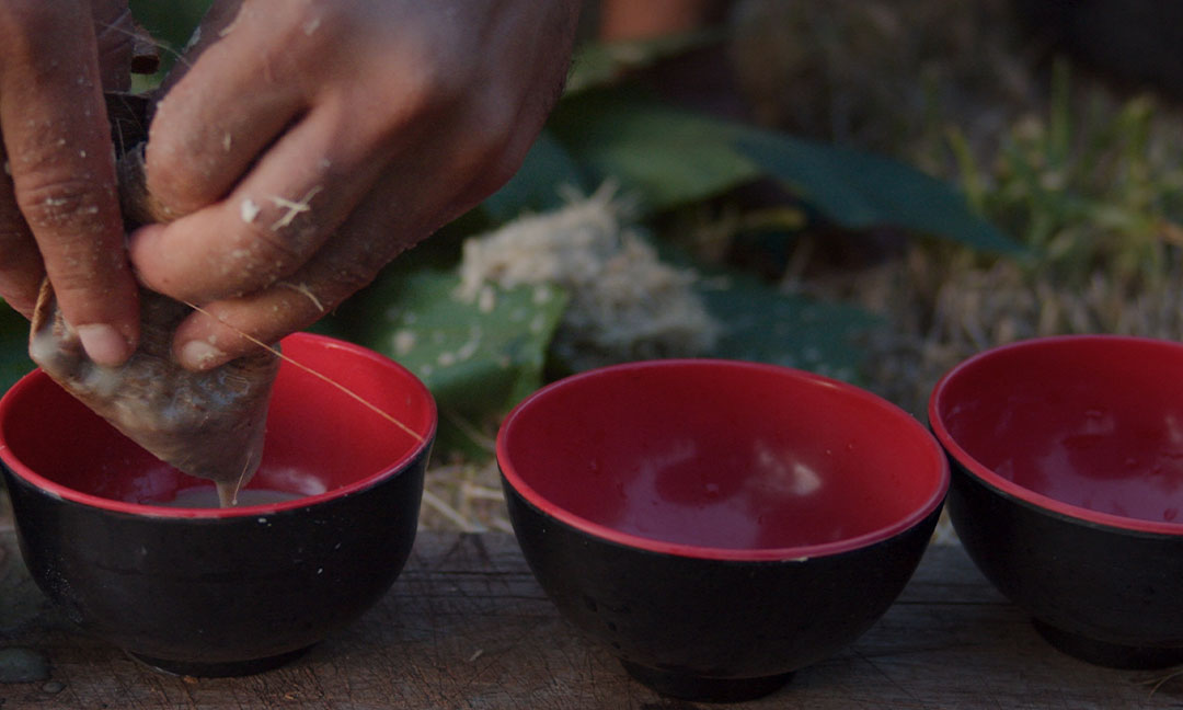 Close up of hands pouring kava into a row of black bowls on wooden countertop